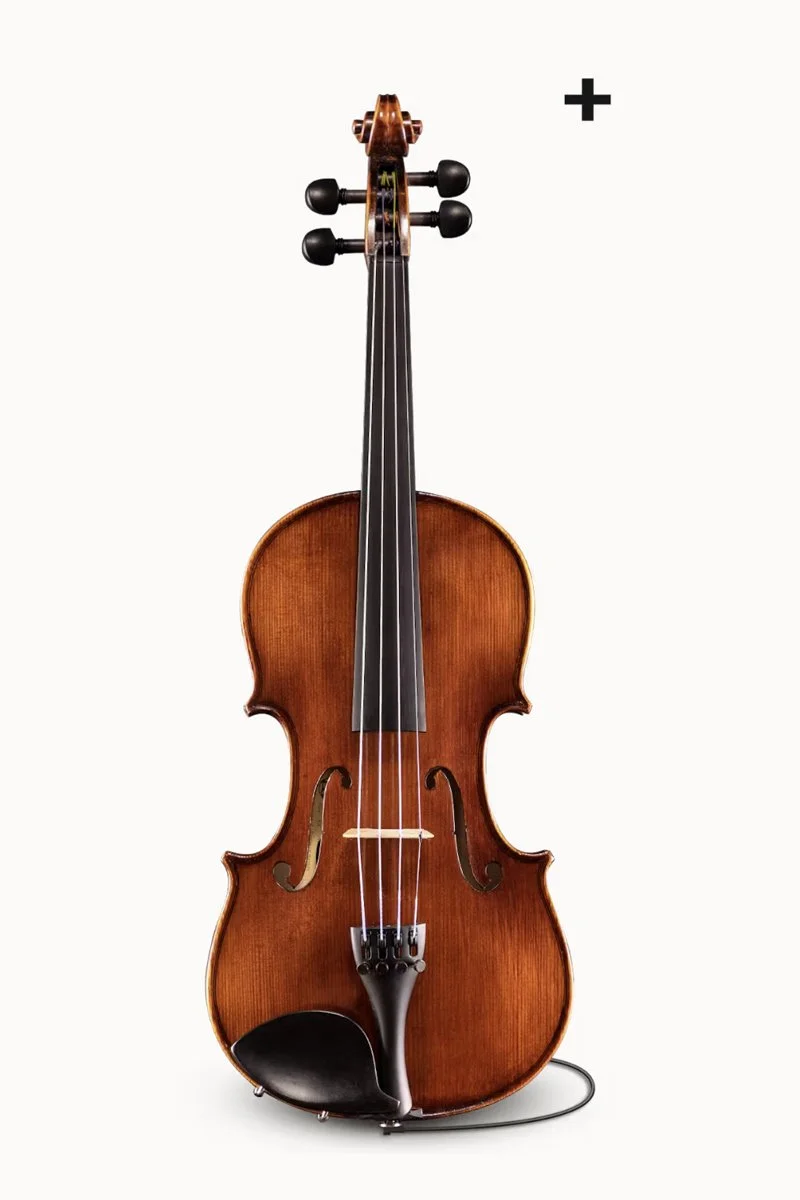 バイオリン 1/4 Eastman Eastman SVL80セット 4/4 バイオリン 初心者セット 【マイスター